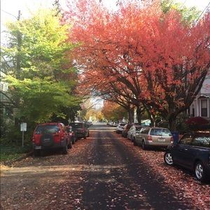 Meet your Posher, Derek